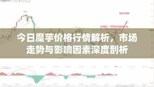 今日魔芋价格行情解析,市场走势与影响因素深度剖析