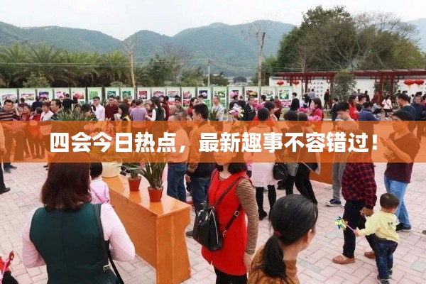 四会今日热点，最新趣事不容错过！