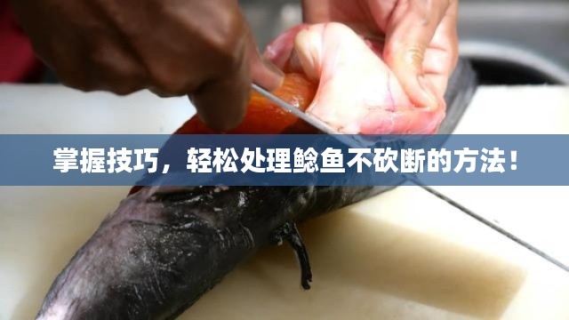 掌握技巧，轻松处理鲶鱼不砍断的方法！