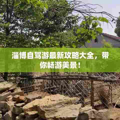 淄博自驾游最新攻略大全，带你畅游美景！