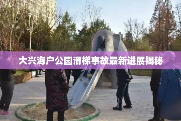 大兴海户公园滑梯事故最新进展揭秘