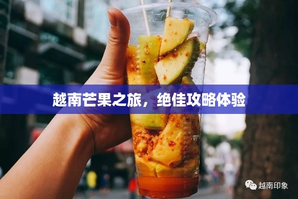 越南芒果之旅，绝佳攻略体验