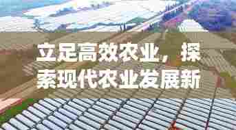 立足高效农业，探索现代农业发展新路径，未来农业的新趋势