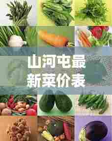 山河屯最新菜价表，蔬菜价格动态与市场深度解析