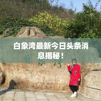白象湾最新今日头条消息揭秘！