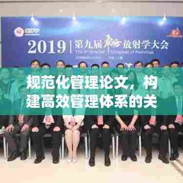 规范化管理论文，构建高效管理体系的关键要素与策略探讨