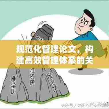 规范化管理论文,构建高效管理体系的关键要素与策略探讨