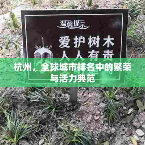 杭州，全球城市排名中的繁荣与活力典范