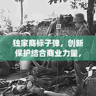 独家商标子弹，创新保护结合商业力量，打造完美品牌标识