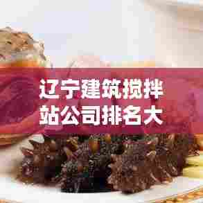 辽宁建筑搅拌站公司排名大揭秘！