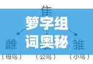 箩字组词奥秘探秘，汉字的魅力与神奇组合