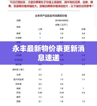 永丰最新物价表更新消息速递