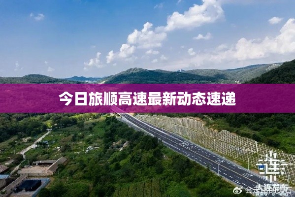 今日旅顺高速最新动态速递