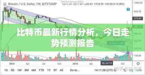 比特币最新行情分析，今日走势预测报告