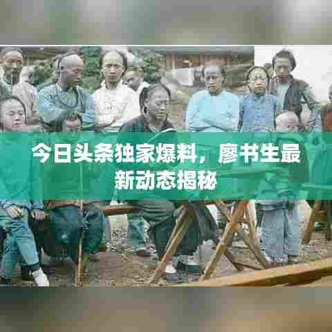 今日头条独家爆料，廖书生最新动态揭秘