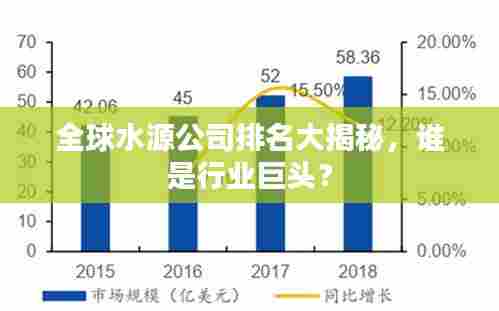 全球水源公司排名大揭秘，谁是行业巨头？