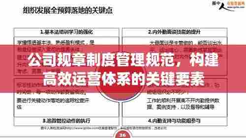 公司规章制度管理规范，构建高效运营体系的关键要素