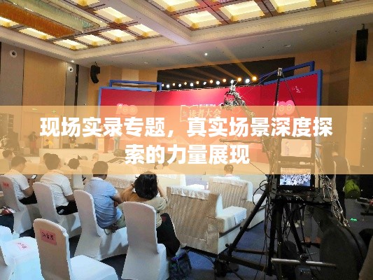 现场实录专题，真实场景深度探索的力量展现