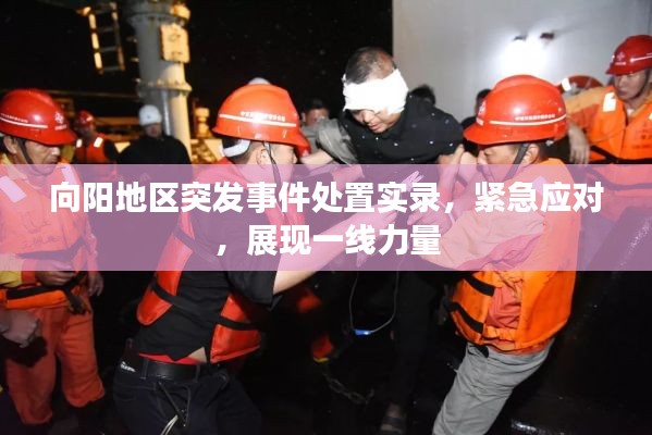 向阳地区突发事件处置实录，紧急应对，展现一线力量