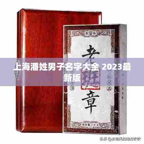 上海潘姓男子名字大全 2023最新版