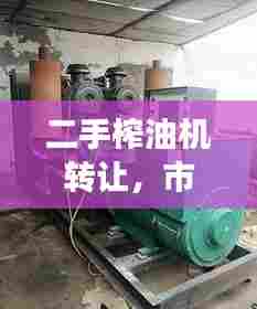 二手榨油机转让，市场潜力与风险解析