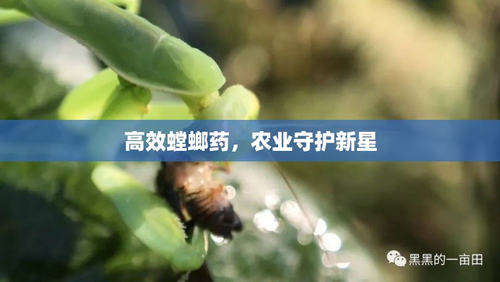 高效螳螂药,农业守护新星