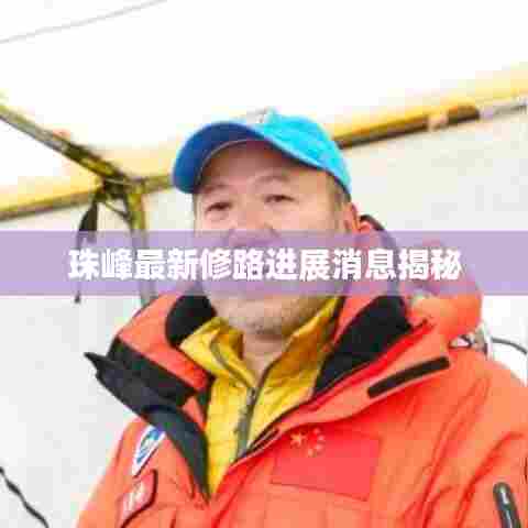 悬驼就石 第6页