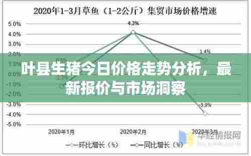 叶县生猪今日价格走势分析，最新报价与市场洞察