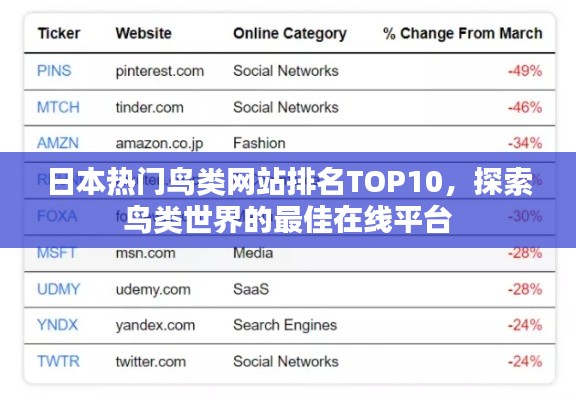 日本热门鸟类网站排名TOP10，探索鸟类世界的最佳在线平台