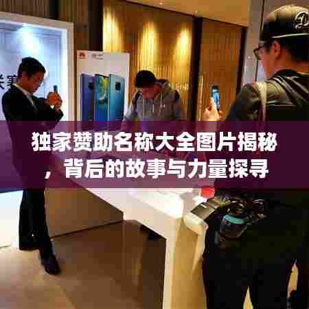 独家赞助名称大全图片揭秘，背后的故事与力量探寻