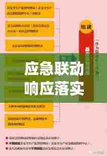 应急联动响应落实，构建高效应急管理体系的核心秘诀