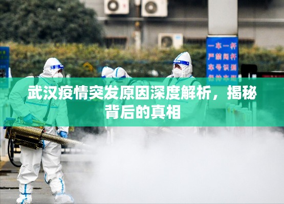 武汉疫情突发原因深度解析，揭秘背后的真相