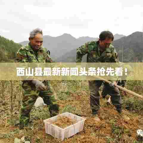 西山县最新新闻头条抢先看！