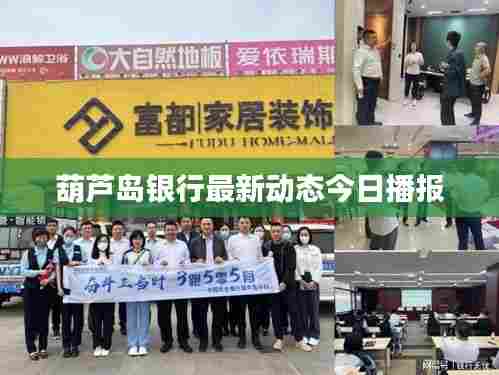 葫芦岛银行最新动态今日播报