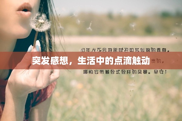 突发感想，生活中的点滴触动