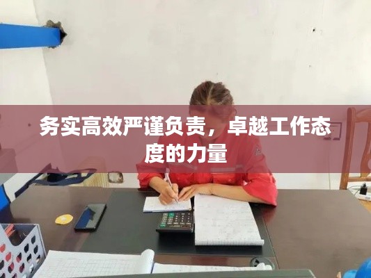 务实高效严谨负责，卓越工作态度的力量
