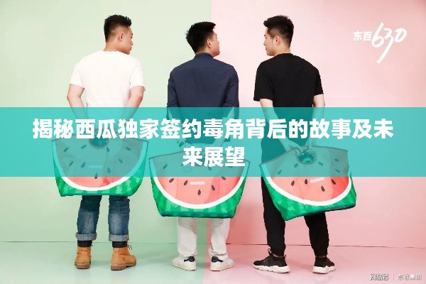 揭秘西瓜独家签约毒角背后的故事及未来展望