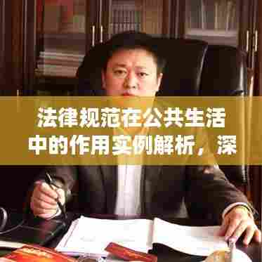 法律规范在公共生活中的作用实例解析，深度探讨与解读