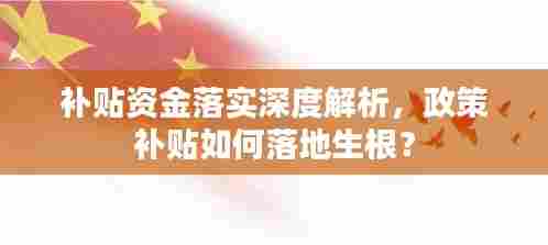 补贴资金落实深度解析，政策补贴如何落地生根？