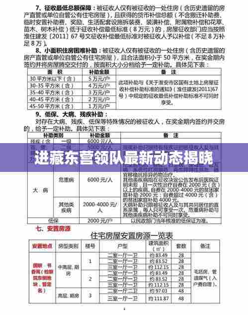 进藏东营领队最新动态揭晓