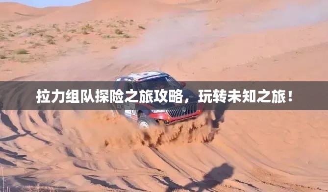 拉力组队探险之旅攻略，玩转未知之旅！