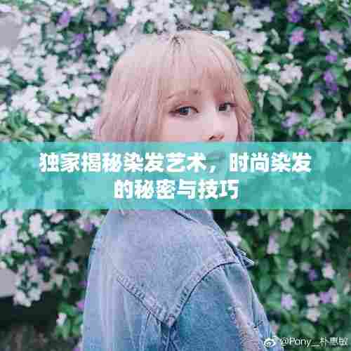 独家揭秘染发艺术，时尚染发的秘密与技巧