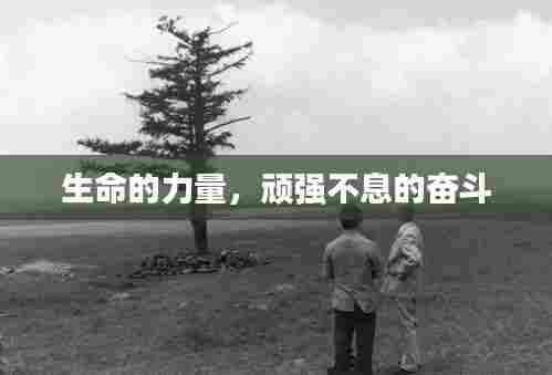 生命的力量，顽强不息的奋斗