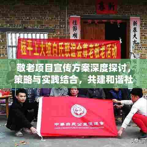 敬老项目宣传方案深度探讨，策略与实践结合，共建和谐社会孝道风采