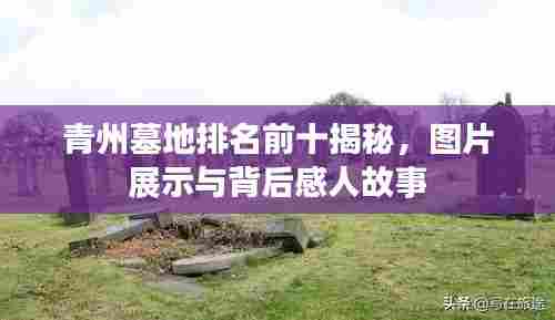 青州墓地排名前十揭秘，图片展示与背后感人故事