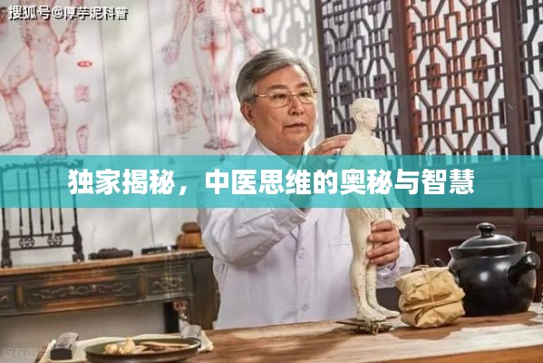 独家揭秘，中医思维的奥秘与智慧