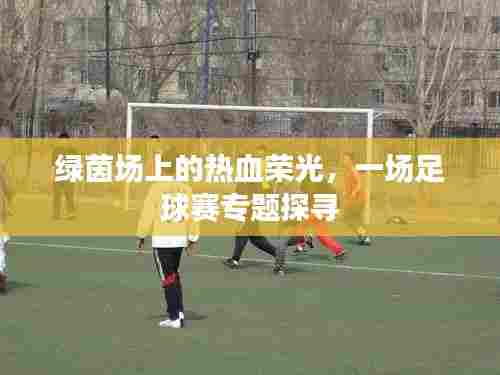 绿茵场上的热血荣光，一场足球赛专题探寻