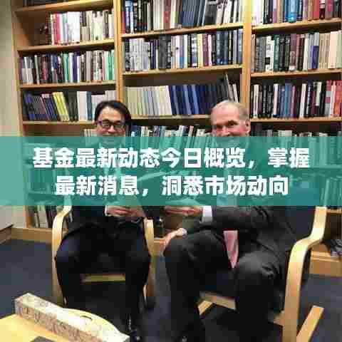 基金最新动态今日概览，掌握最新消息，洞悉市场动向