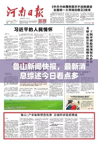 鲁山新闻快报，最新消息综述今日看点多