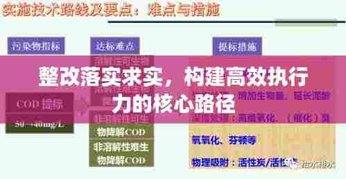整改落实求实,构建高效执行力的核心路径